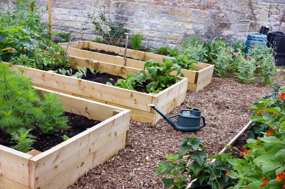 How To Create Weed Free Paths In Your, Best Wood For Raised Garden Beds Uk